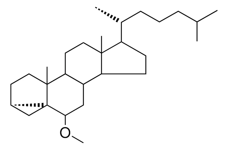 Sigma-Aldrich EPI-CHOLESTERYL METHYL ETHER,AldrichCPR