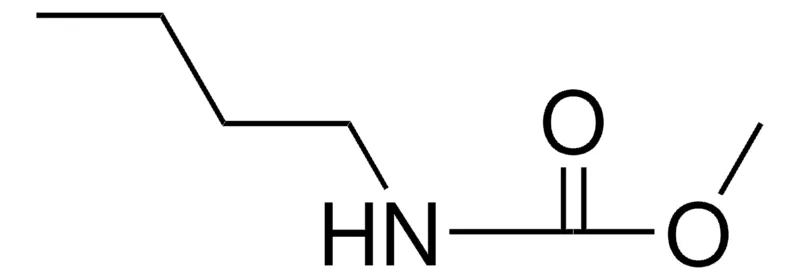 Sigma-Aldrich METHYL N-BUTYLCARBAMATE,AldrichCPR