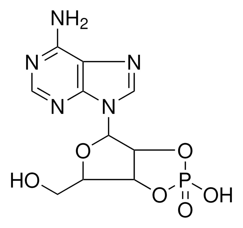 Sigma-Aldrich 4-(6-AMINO-PURIN-9-YL)-6-HO-METHYL-2-OXO-4H-FURO(3,4-D)(1,3,2)DIOXAPHOSPHOL-2-OL,AldrichCPR