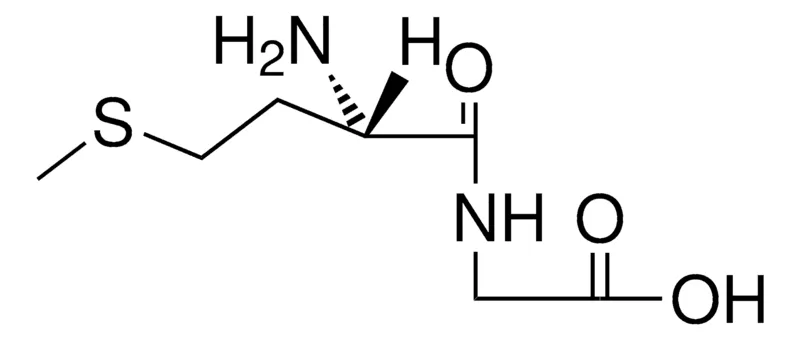 Sigma-Aldrich L-METHIONYLGLYCINE,AldrichCPR
