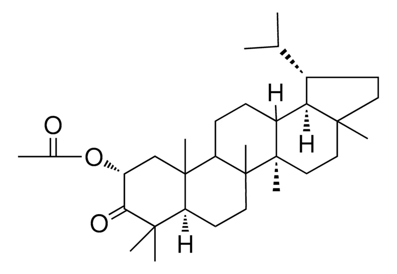 Sigma-Aldrich 3-OXOLUPAN-2-ALPHA-YL ACETATE,AldrichCPR