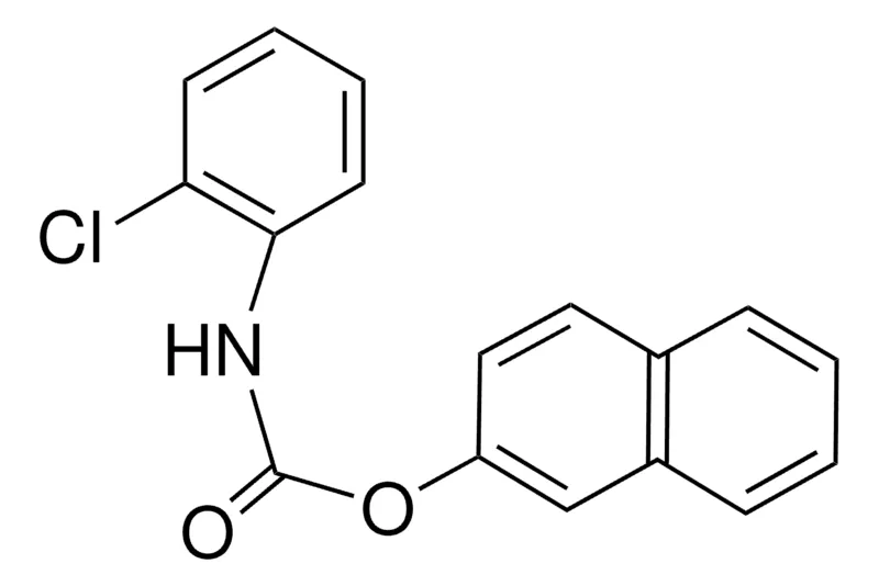 Sigma-Aldrich 2-NAPHTHYL N-(2-CHLOROPHENYL)CARBAMATE,AldrichCPR