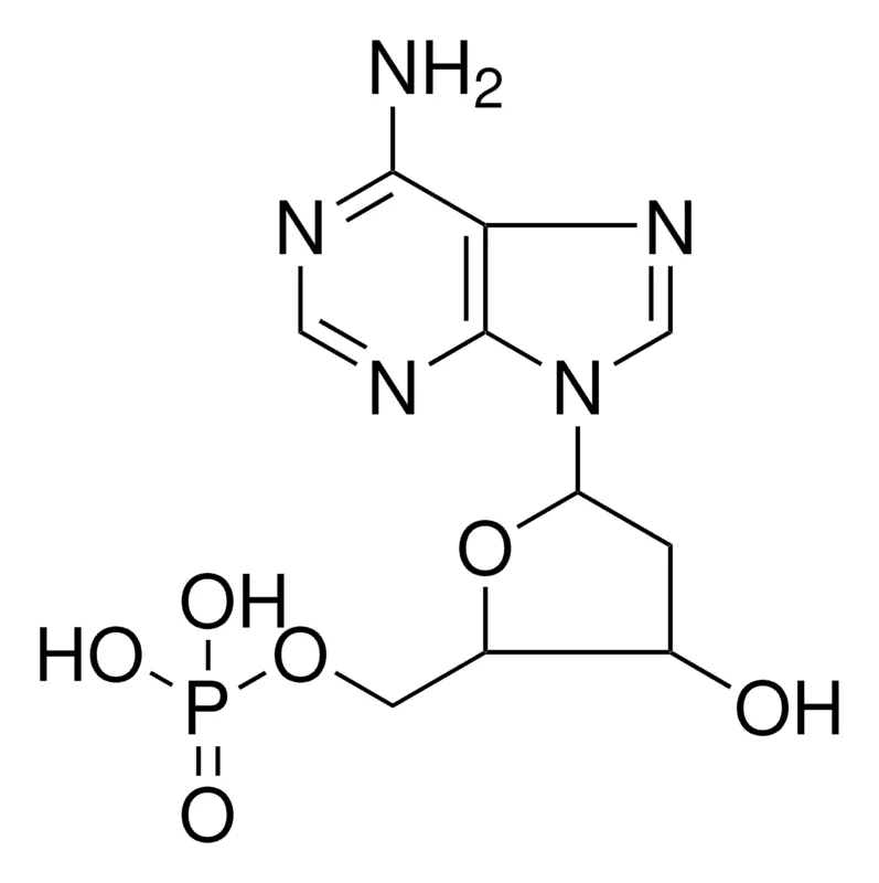 Sigma-Aldrich PHOSPHORIC ACID MONO-(5-(6-AMINO-PURIN-9-YL)-3-HO-4H-FURAN-2-YLMETHYL) ESTER,AldrichCPR