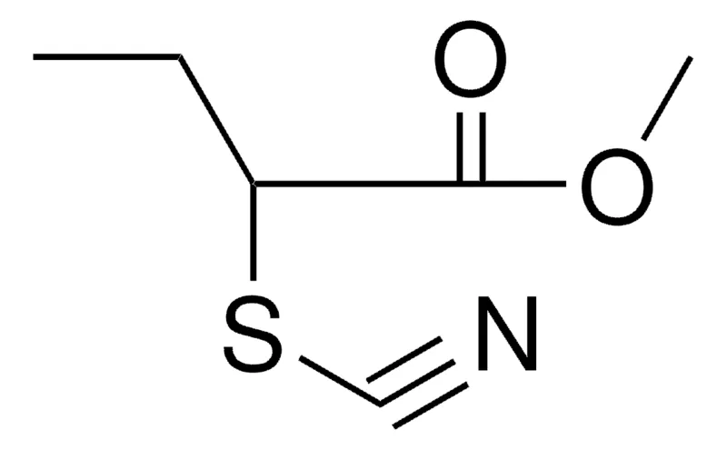 Sigma-Aldrich METHYL 2-THIOCYANATOBUTYRATE,AldrichCPR