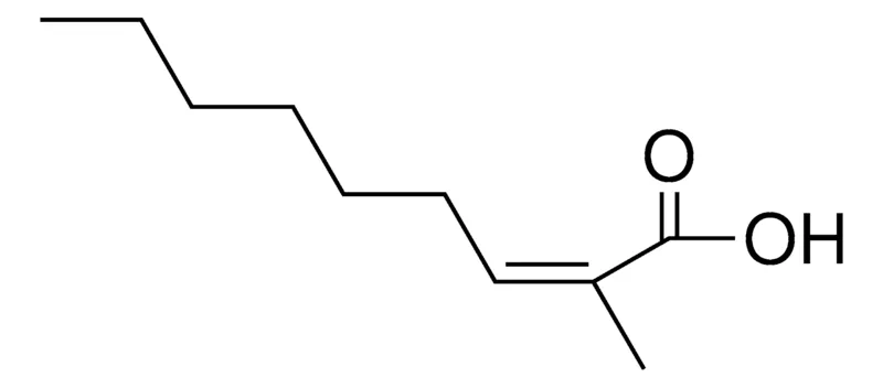 Sigma-Aldrich 2-METHYL-NON-2-ENOIC ACID,AldrichCPR
