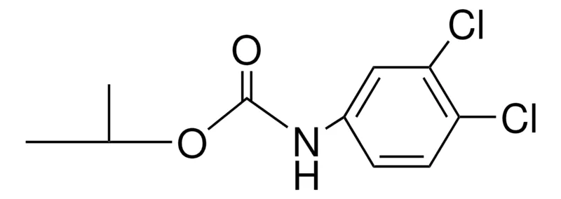 Sigma-Aldrich ISOPROPYL N-(3,4-DICHLOROPHENYL)CARBAMATE，AldrichCPR