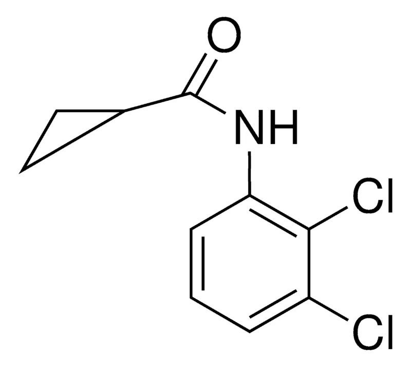 Sigma-Aldrich N-(2,3-DICHLOROPHENYL)CYCLOPROPANECARBOXAMIDE，AldrichCPR