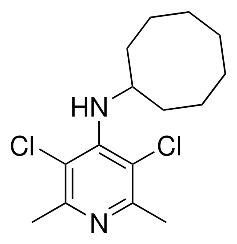 Sigma-Aldrich N-CYCLOOCTYL-N-(3,5-DICHLORO-2,6-DIMETHYL-4-PYRIDINYL)AMINE，AldrichCPR