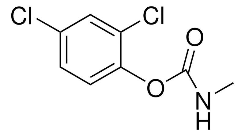 Sigma-Aldrich 2,4-DICHLOROPHENYL N-METHYLCARBAMATE,AldrichCPR