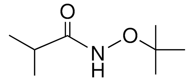 Sigma-Aldrich N-TERT-BUTOXY-ISOBUTYRAMIDE,AldrichCPR