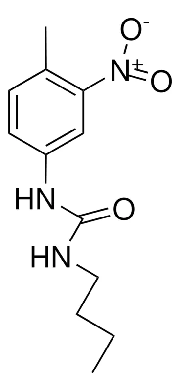 Sigma-Aldrich 1-BUTYL-3-(4-METHYL-3-NITROPHENYL)UREA,AldrichCPR