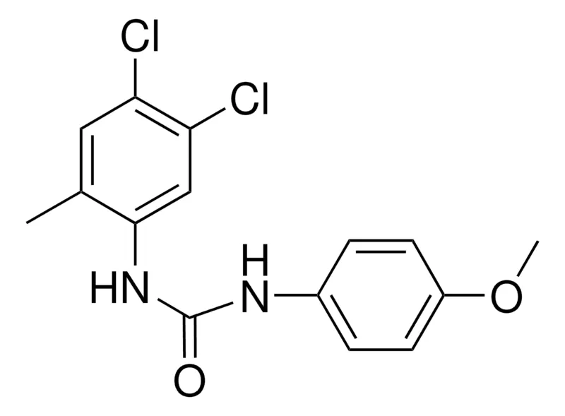 Sigma-Aldrich 1-(4,5-DICHLORO-2-METHYLPHENYL)-3-(4-METHOXYPHENYL)UREA,AldrichCPR