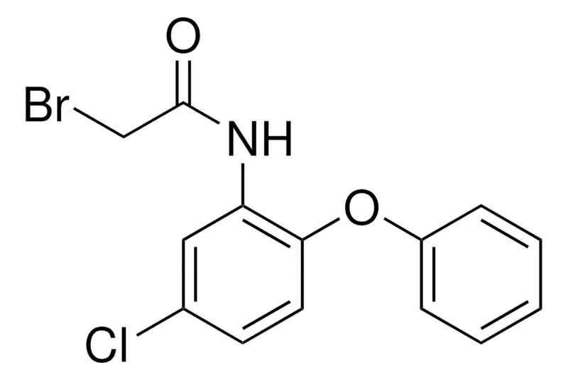 Sigma-Aldrich 2-BROMO-N-(5-CHLORO-2-PHENOXYPHENYL)ACETAMIDE,AldrichCPR