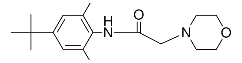 Sigma-Aldrich N-(4-TERT-BUTYL-2,6-DIMETHYL-PHENYL)-2-MORPHOLIN-4-YL-ACETAMIDE,AldrichCPR