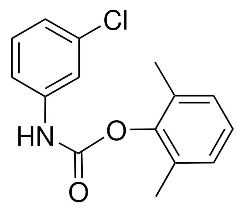 Sigma-Aldrich 2,6-XYLYL N-(3-CHLOROPHENYL)CARBAMATE,AldrichCPR