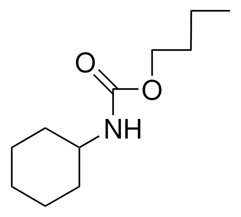 Sigma-Aldrich BUTYL N-CYCLOHEXYLCARBAMATE,AldrichCPR