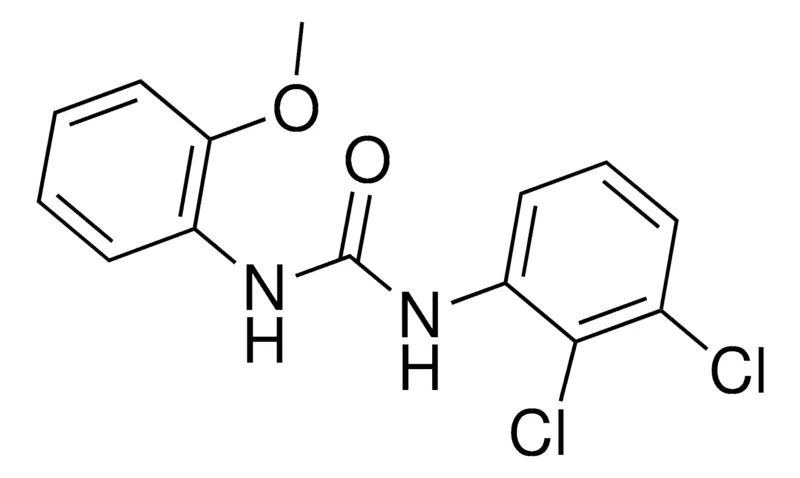 Sigma-Aldrich 1-(2,3-DICHLOROPHENYL)-3-(2-METHOXYPHENYL)UREA,AldrichCPR