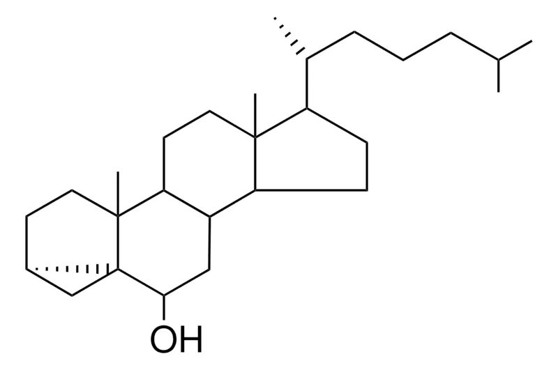 Sigma-Aldrich 3-ALPHA,5-CYCLO-5-ALPHA-CHOLESTAN-6-BETA-OL,AldrichCPR