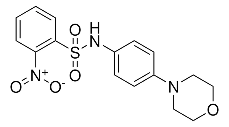 Sigma-Aldrich N-(4-MORPHOLIN-4-YL-PHENYL)-2-NITRO-BENZENESULFONAMIDE,AldrichCPR