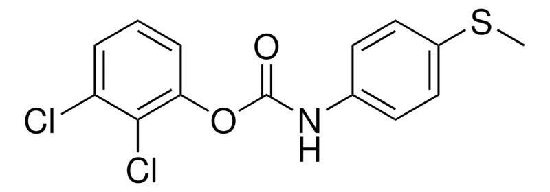 Sigma-Aldrich 2,3-DICHLOROPHENYL N-(4-(METHYLTHIO)PHENYL)CARBAMATE,AldrichCPR