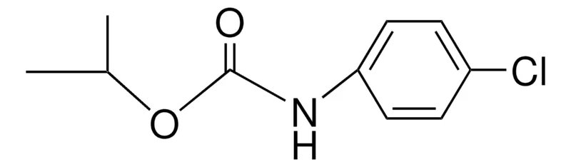 Sigma-Aldrich ISOPROPYL N-(4-CHLOROPHENYL)CARBAMATE,AldrichCPR