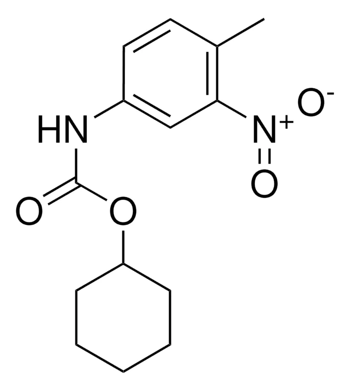 Sigma-Aldrich CYCLOHEXYL N-(4-METHYL-3-NITROPHENYL)CARBAMATE,AldrichCPR