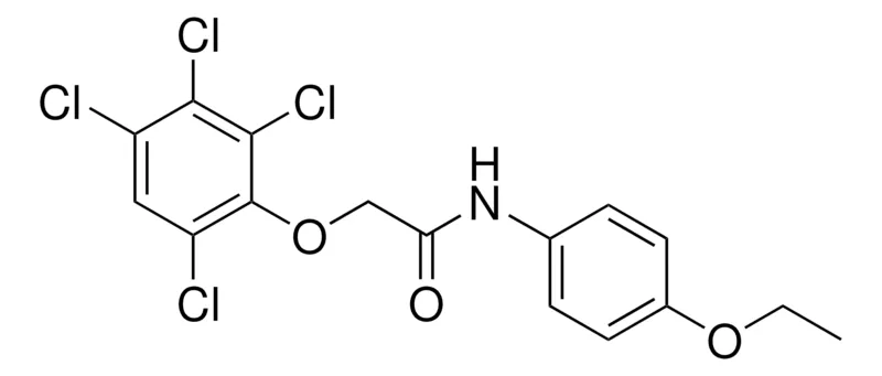 Sigma-Aldrich N-(4-ETHOXYPHENYL)-2-(2,3,4,6-TETRACHLOROPHENOXY)ACETAMIDE,AldrichCPR