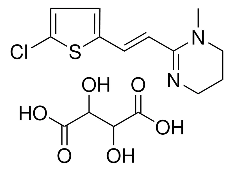 Sigma-Aldrich 2-(2-(5-CL-THIOPHEN-2-YL)-VINYL)-1-ME-4H-PYRIMIDINE, 2,3-DIHYDROXY-SUCCINIC ACID,AldrichCPR