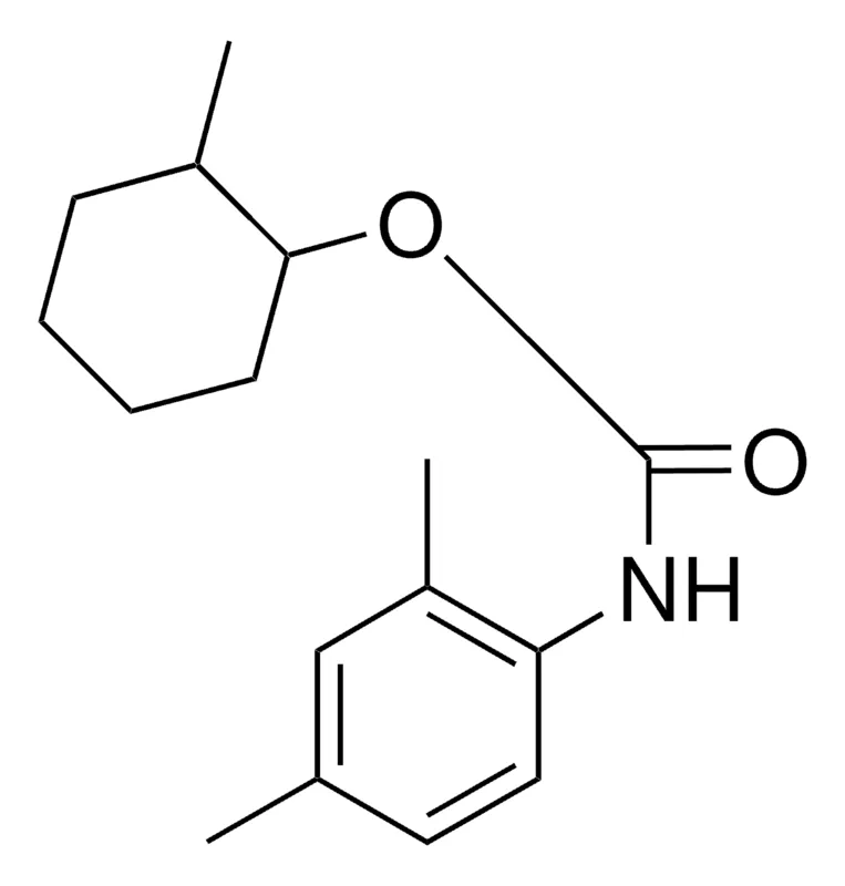 Sigma-Aldrich 2-METHYLCYCLOHEXYL N-(2,4-XYLYL)CARBAMATE,AldrichCPR