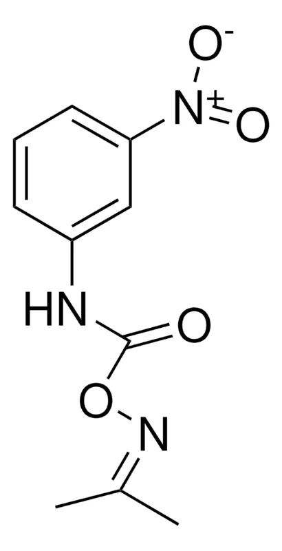 Sigma-Aldrich O-(N-(3-NITROPHENYL)CARBAMOYL)ACETONE OXIME,AldrichCPR