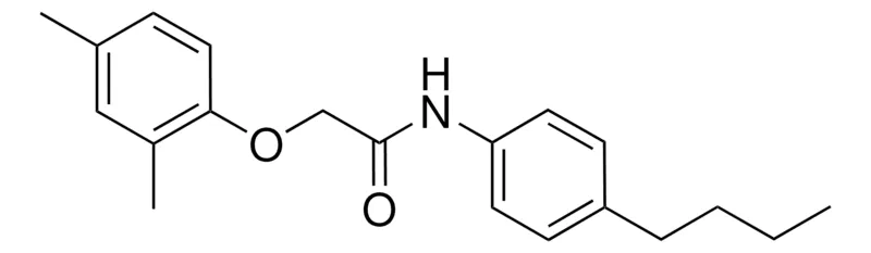 Sigma-Aldrich N-(4-BUTYLPHENYL)-2-(2,4-DIMETHYLPHENOXY)ACETAMIDE,AldrichCPR