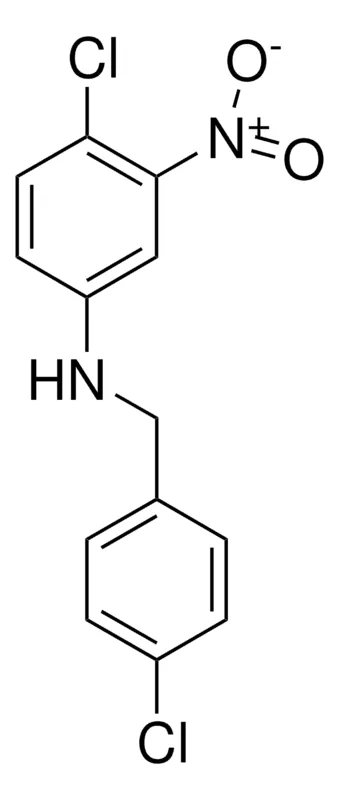 Sigma-Aldrich 4-CHLORO-N-(4-CHLORO-3-NITROPHENYL)BENZYLAMINE,AldrichCPR