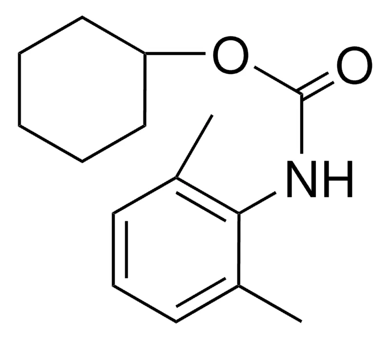 Sigma-Aldrich CYCLOHEXYL N-(2,6-XYLYL)CARBAMATE,AldrichCPR