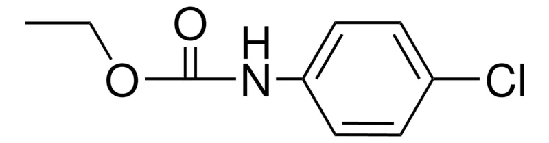 Sigma-Aldrich ETHYL 4-CHLOROPHENYLCARBAMATE,AldrichCPR