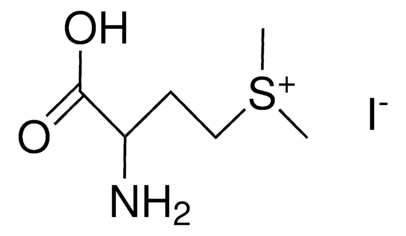 Sigma-Aldrich METHIONINE METHIODIDE,AldrichCPR