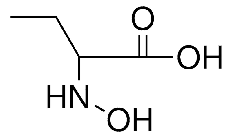 Sigma-Aldrich 2-HYDROXYAMINO-BUTYRIC ACID,AldrichCPR