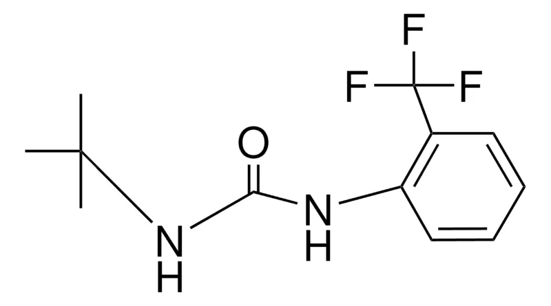 Sigma-Aldrich 1-TERT-BUTYL-3-(2-TRIFLUOROMETHYLPHENYL)UREA,AldrichCPR