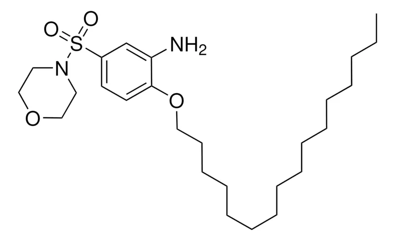 Sigma-Aldrich 2-HEXADECYLOXY-5-(MORPHOLINOSULFONYL)ANILINE,AldrichCPR