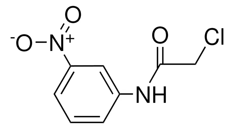 Sigma-Aldrich 2-CHLORO-N-(3-NITRO-PHENYL)-ACETAMIDE,AldrichCPR
