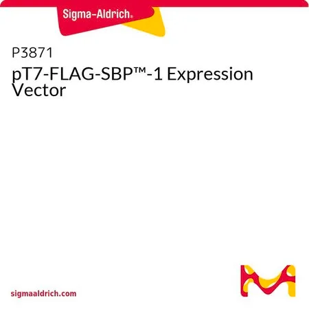 Sigma-Aldrich pT7-FLAG-SBP™-1 Expression Vector