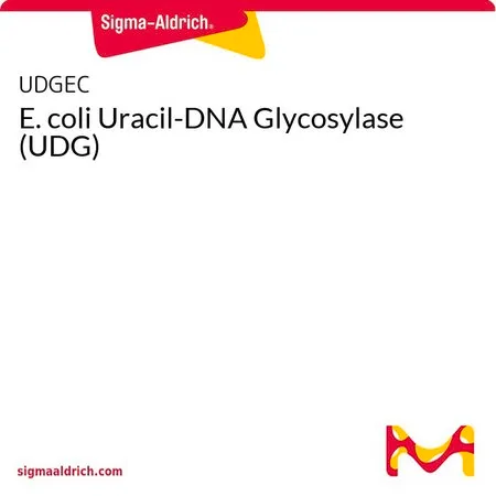 Sigma-Aldrich E. coli Uracil-DNA Glycosylase (UDG)