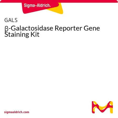 Sigma-Aldrich β-半乳糖苷酶报告基因染色试剂盒