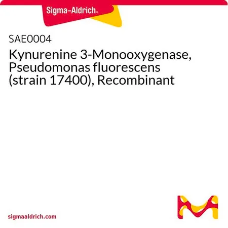 Sigma-Aldrich Kynurenine 3-Monooxygenase, Pseudomonas fluorescens (strain 17400), Recombinant