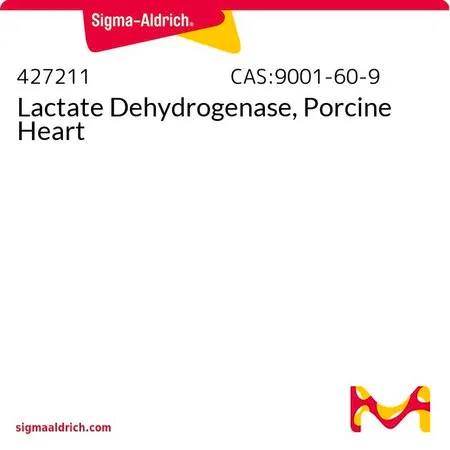 Sigma-Aldrich Lactate Dehydrogenase, Porcine Heart