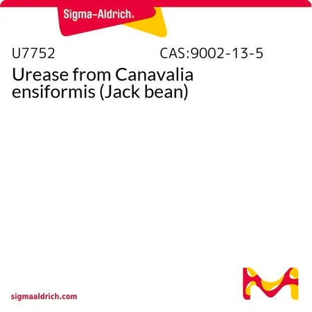 Sigma-Aldrich 尿素酶 来源于洋刀豆 (刀豆)