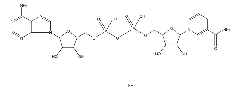 Sigma-Aldrich 还原型 β-烟酰胺腺嘌呤二核苷酸 二钾盐