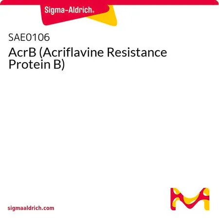Sigma-Aldrich AcrB (Acriflavine Resistance Protein B)