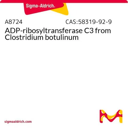 Sigma-Aldrich ADP-ribosyltransferase C3 from Clostridium botulinum