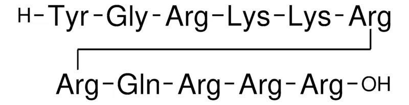 Sigma-Aldrich HIV-1 Tat Protein (47-57)，≥97%（HPLC法），冻干粉末