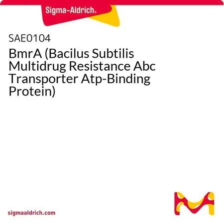 Sigma-Aldrich BmrA (Bacilus Subtilis Multidrug Resistance Abc Transporter Atp-Binding Protein)
